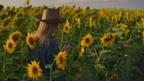 A-young-farmer-girl-is-walking-on-the-field-with-lots-of-sunflowers-and-studing-their-main-charasteristics.-She-is-writing-some-important-things-in-her-e-book.